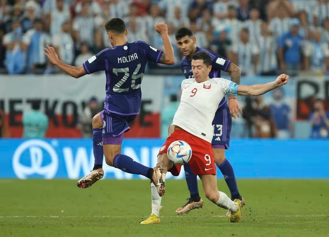 波兰队险胜法国队，波尔统治全场的简单介绍