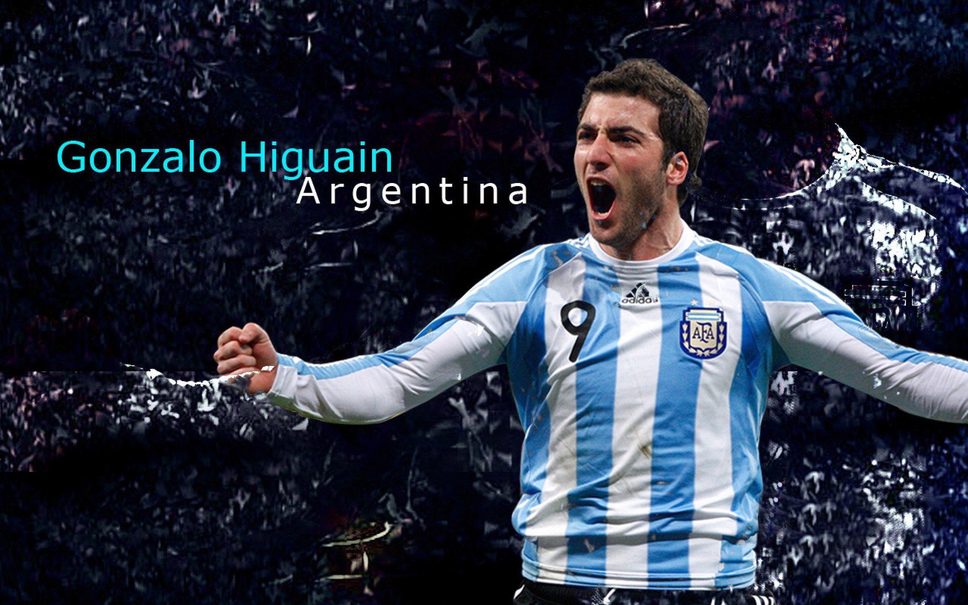 2026世界杯焦点战,奇才粉碎猛龙,战术革命颠覆传统强权